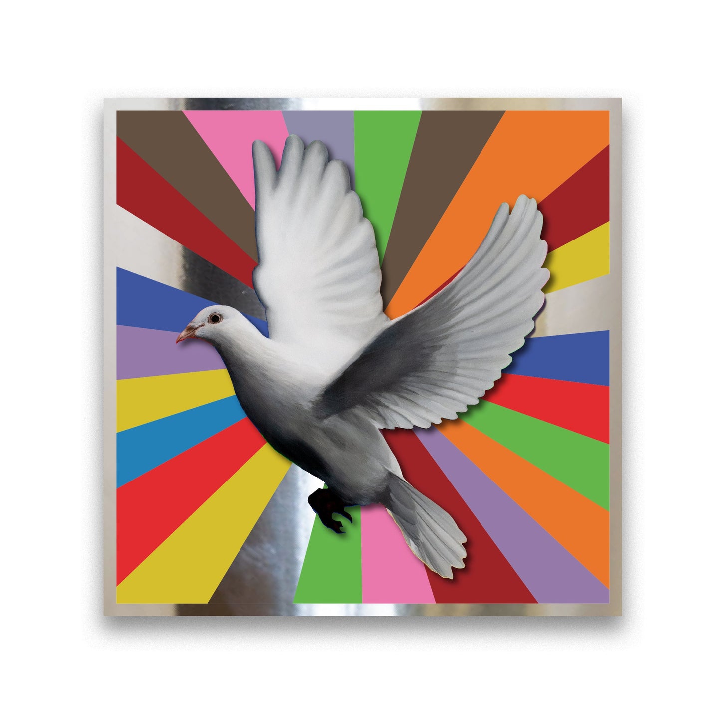 RISE & SHINE Postcard Multipack